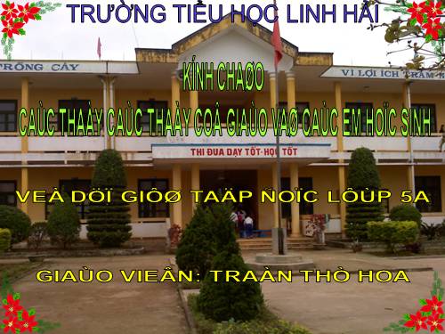 Tuần 16. Thầy thuốc như mẹ hiền