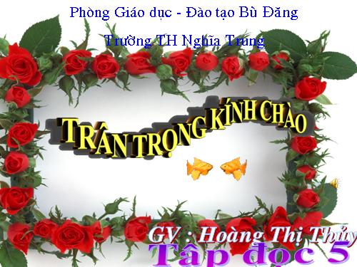 Tuần 12. Mùa thảo quả