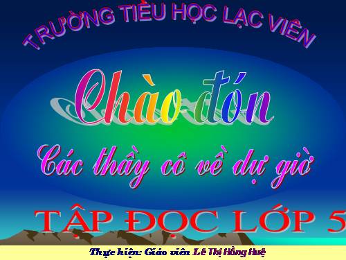 Tuần 12. Hành trình của bầy ong