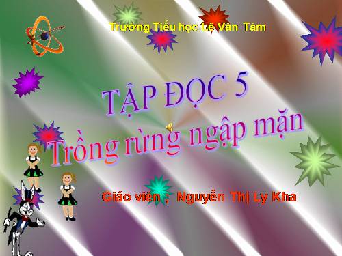 Tuần 13. Trồng rừng ngập mặn