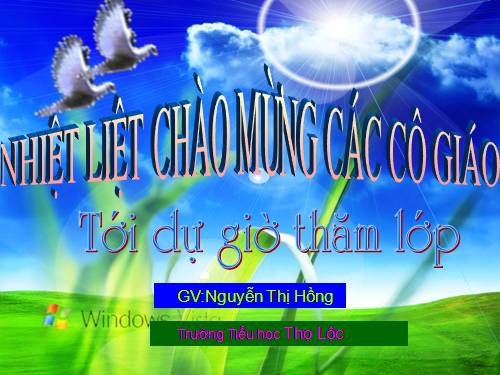 Tuần 12. Hành trình của bầy ong