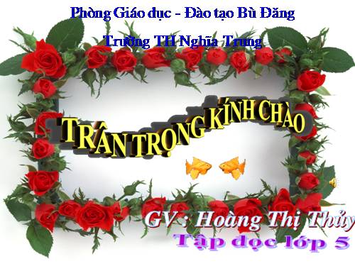 Tuần 9. Đất Cà Mau