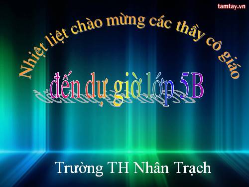 Tuần 9. Đất Cà Mau
