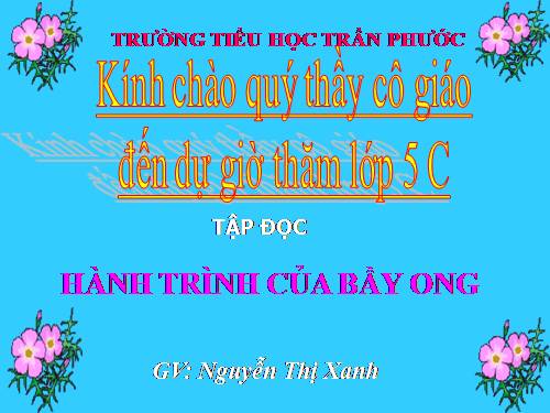 Tuần 12. Hành trình của bầy ong