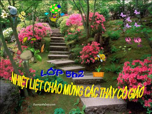 Tuần 34. Lớp học trên đường