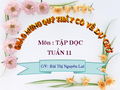 Tuần 11. Chuyện một khu vườn nhỏ
