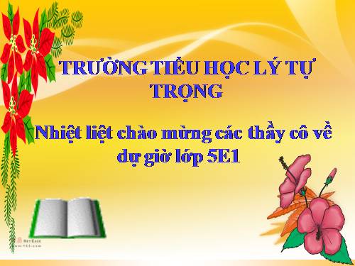 Tuần 8. Kì diệu rừng xanh