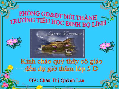 Tuần 12. Hành trình của bầy ong