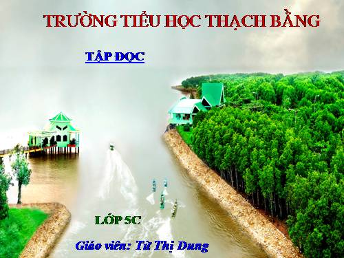 Tuần 9. Đất Cà Mau