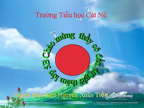 Tuần 8. Kì diệu rừng xanh