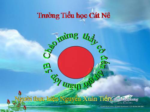 Tuần 8. Kì diệu rừng xanh