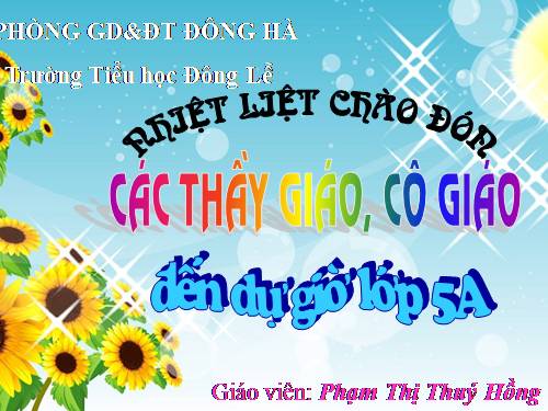 Tuần 9. Đất Cà Mau