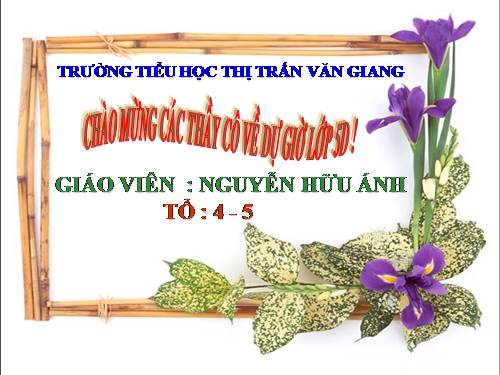 Tuần 9. Đất Cà Mau