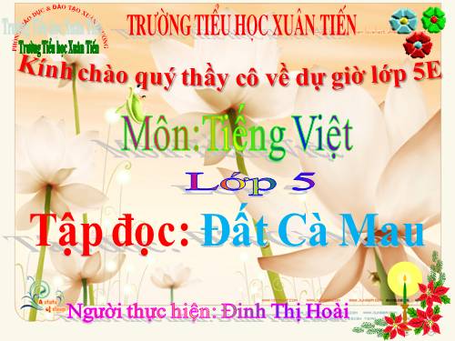 Tuần 9. Đất Cà Mau