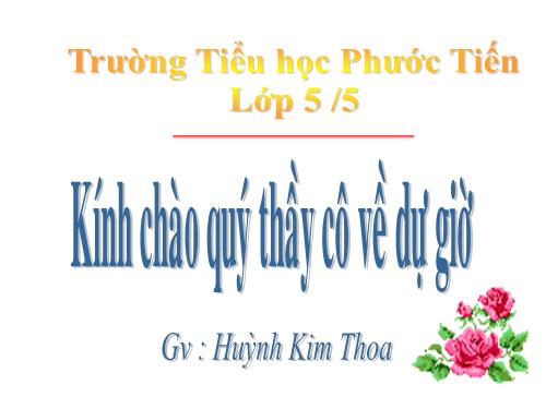 Tuần 12. Hành trình của bầy ong