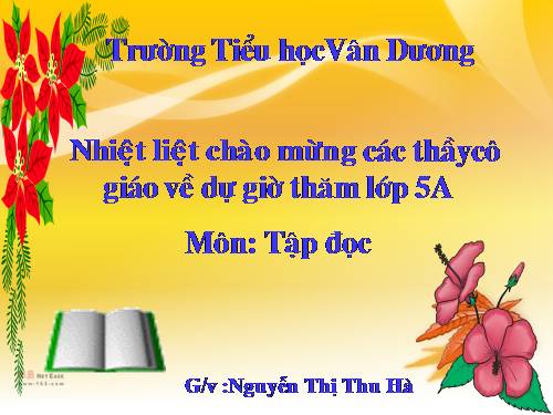 Tuần 8. Kì diệu rừng xanh