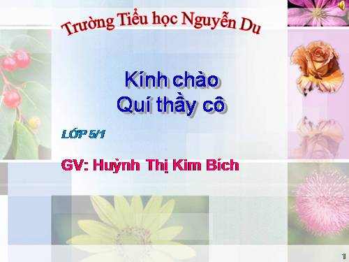 Tuần 8. Kì diệu rừng xanh