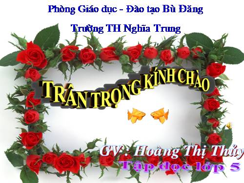 Tuần 9. Đất Cà Mau