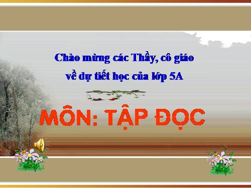 Tuần 12. Hành trình của bầy ong