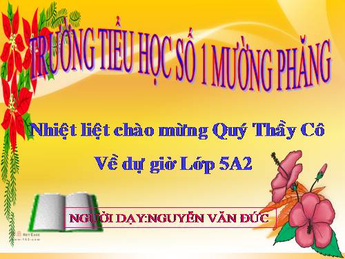 Tuần 8. Kì diệu rừng xanh