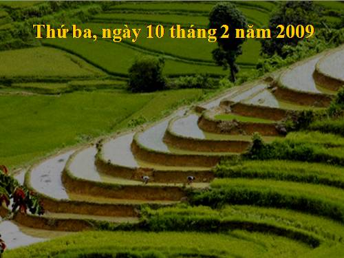 Tuần 22. Cao Bằng