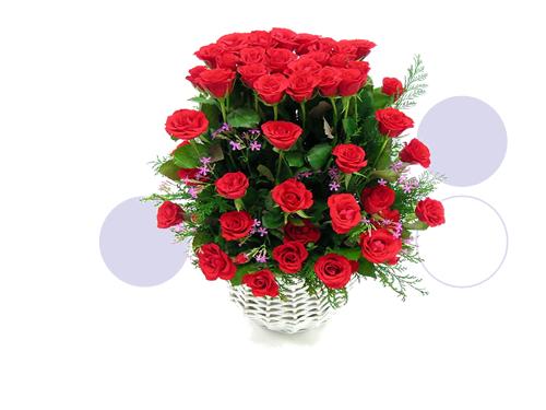 HD BDHSG TIẾNG VIỆT