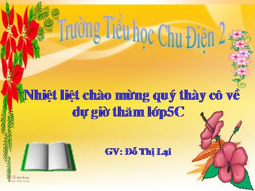 Tuần 8. Kì diệu rừng xanh