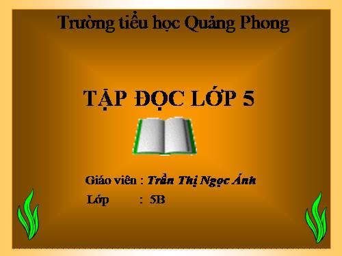 Tuần 8. Kì diệu rừng xanh