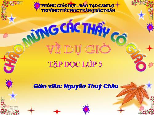 Tuần 8. Kì diệu rừng xanh