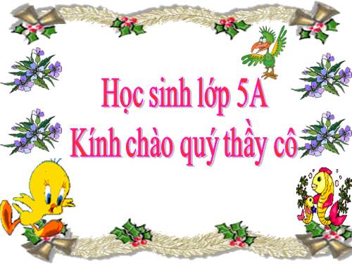 Tuần 4. Những con sếu bằng giấy