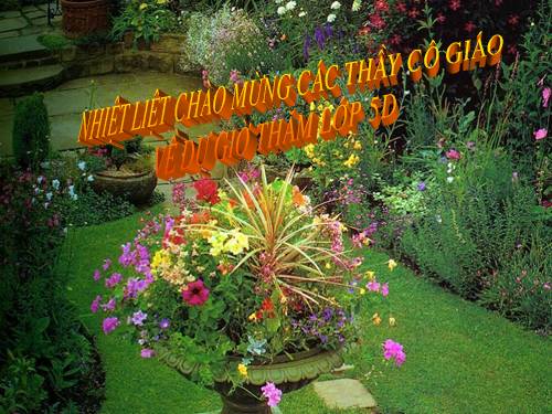 Tuần 29. Một vụ đắm tàu