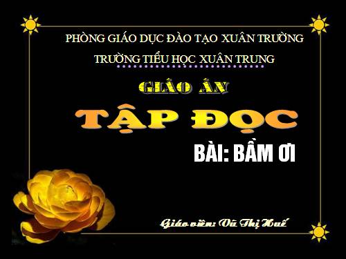 Tuần 31. Bầm ơi