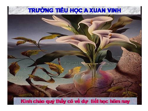 Tuần 25. Cửa sông