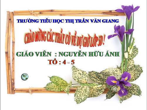 Tuần 9. Đất Cà Mau