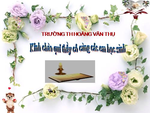 Tuần 11. Tiếng vọng