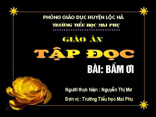 Tuần 31. Bầm ơi