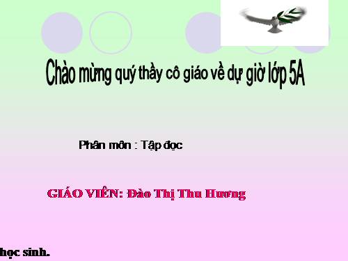 Tuần 32. Út Vịnh