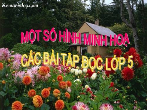 hinh minh hoa tap doc 5