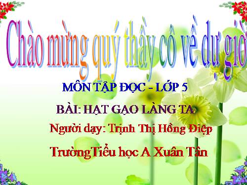 Tuần 14. Hạt gạo làng ta