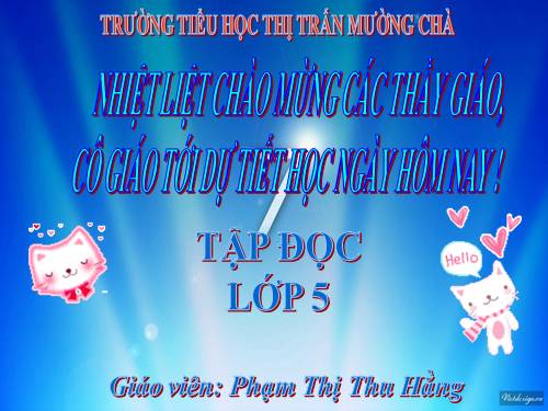 Tuần 31. Công việc đầu tiên