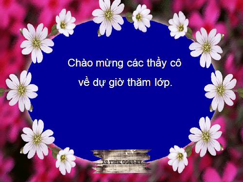 Tuần 29. Một vụ đắm tàu