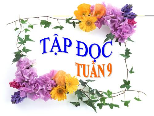 Tuần 9. Đất Cà Mau