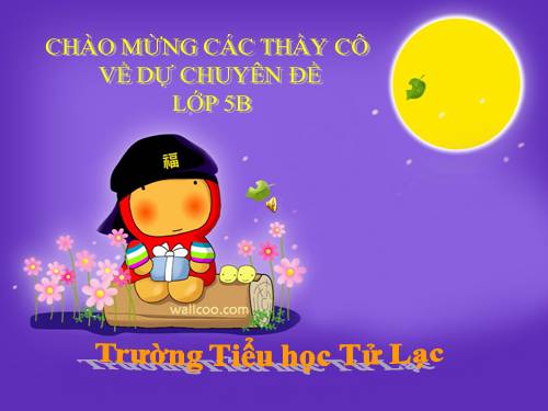 Tuần 13. Trồng rừng ngập mặn