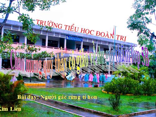 Tuần 13. Người gác rừng tí hon