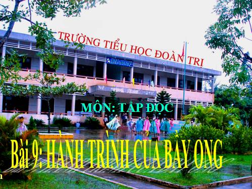 Tuần 12. Hành trình của bầy ong