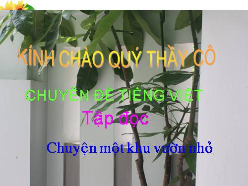 Tuần 11. Chuyện một khu vườn nhỏ