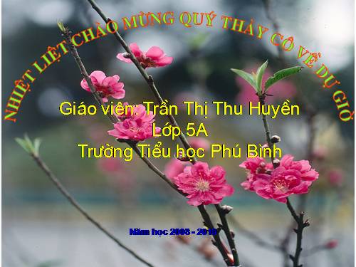 Tuần 32. Những cánh buồm