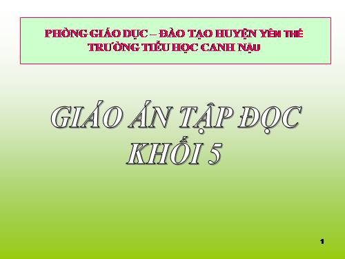 Tuần 12. Mùa thảo quả