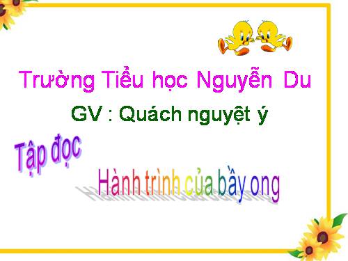 Tuần 12. Hành trình của bầy ong