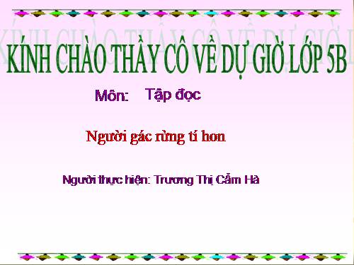 Tuần 13. Người gác rừng tí hon